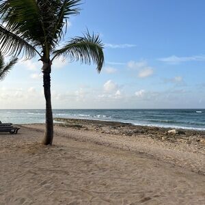 Trade don’t buy unless for u